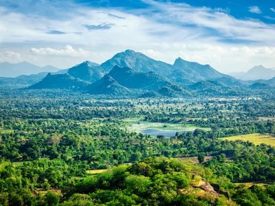 Sri Lankan landscape