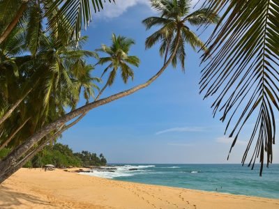 tropical-beach-2023-11-27-05-18-02-utc