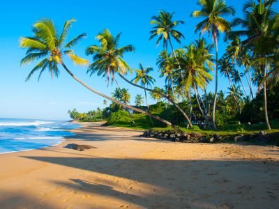 untouched-tropical-beach-in-sri-lanka